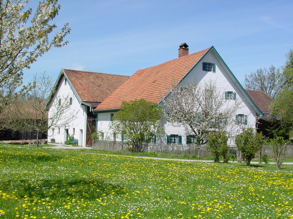 Das Foto zeigt einen Bauernhof. Im Vordergrund sieht man eine Wiese mit Löwenzahnblüten und einem blühenden Obstbaum.