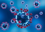 Struktur Corona-Virus