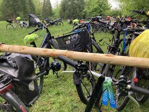 Fahrräder stehen auf einer Wiese.