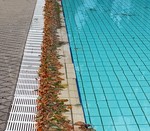 Laub liegt in der Abflussrinne des Schwimmbeckens.