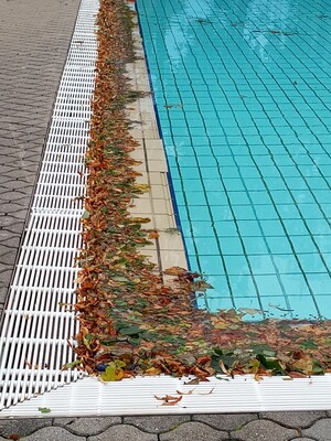 Laub liegt in der Abflussrinne des Schwimmbeckens.