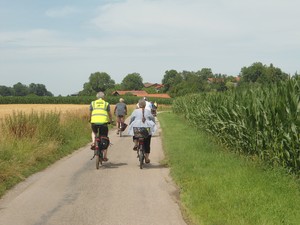5 Radfahrer fahren auf einer kleinen Straße vorbei an Feldern.