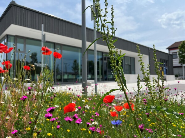 Gebäude mit Pultdach und Glasfront