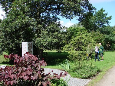 Foto zeigt Stele an einen gepflasteten Weg, dahinter eine Wiese mit  Laubbaum.