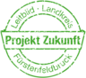 Logo Projekt Zukunft