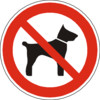 Grafik Tiere mitbringen nicht erlaubt