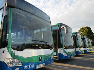 Foto mit Linienbussen, die nebeneinander geparkt sind.