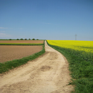 Feldweg mit Blick in die Landschaft
