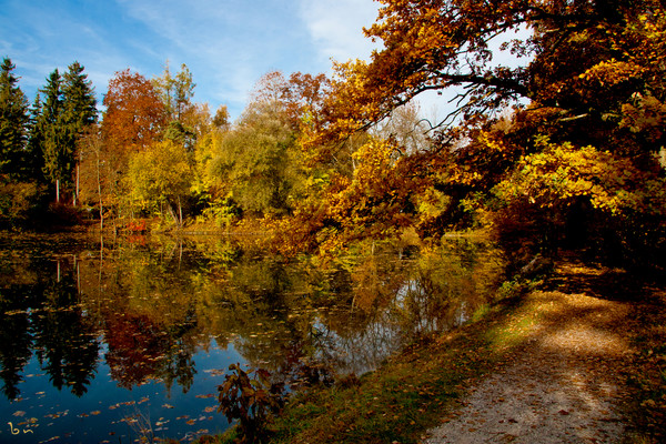 Das Foto zeigt Bäume mit gelb und braun verfärbten Blättern im Herbst sowie einen Teich auf dem die heruntergefallenen Blätter schwimmen.