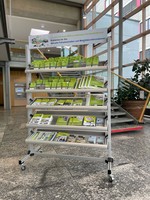 Bild der mobilen Wundertüten